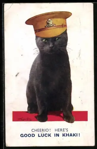 Künstler-AK Arnold Taylor: Schwarze Katze mit Mütze