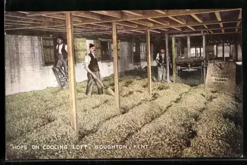 Künstler-AK Hops n cooling Loft in Boughton, Bauern kühlen den geernteten Hopfen