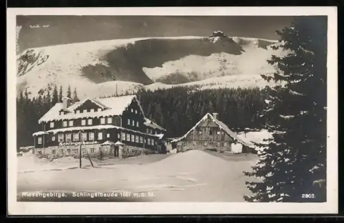AK Riesengebirge, Schlingelbaude im Winter