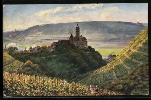 AK Gundelsheim a. N., Schloss Hornegg, Guttenberg und Ehrenfels, Dreiburgenblick
