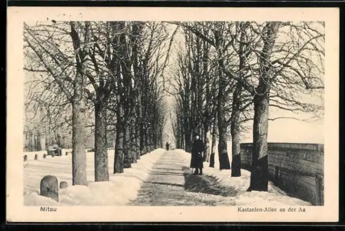AK Mitau, Kastanien-Allee an der Aa im Winter