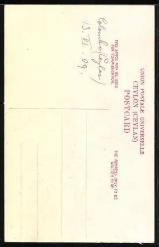 AK Sri Lanka, Tea Plucker