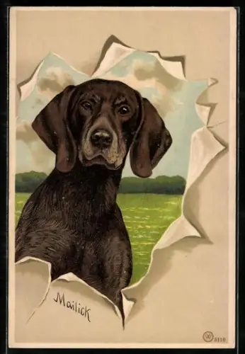 Künstler-AK Alfred Mailick: Jagdhund mit treuem Blick