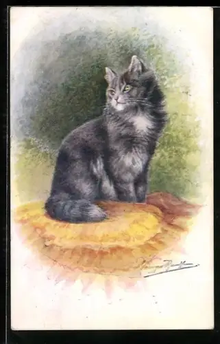 Künstler-AK Graue Katze auf einem gelben Kissen