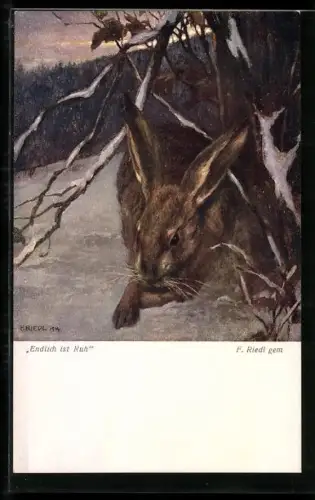 AK Endlich ist Ruh, Feldhase an eienm Baum