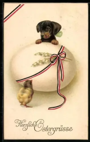 AK Dackel und Osterküken am Osterei, Ostergruss