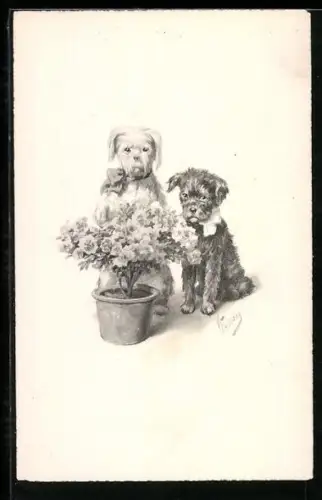 Künstler-AK Karl Feiertag: Zwei Hunde mit einem Rosenstrauch