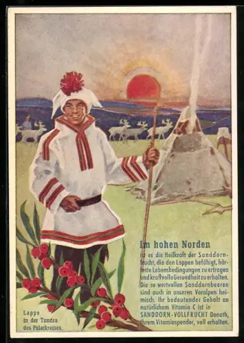 AK Reklame für Medikament Sanddorn-Vollfrucht Donath, Lappe in der Tundra des Polarkreises