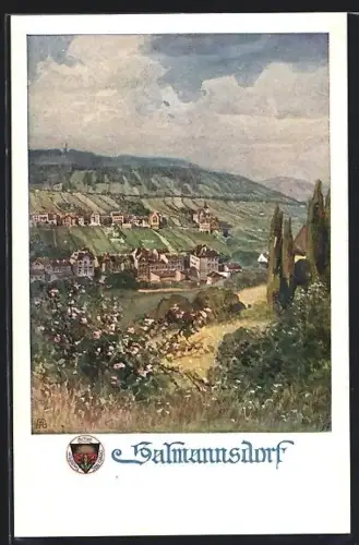 AK Deutscher Schulverein Nr. 795: Sarmannsdorf, Panorama