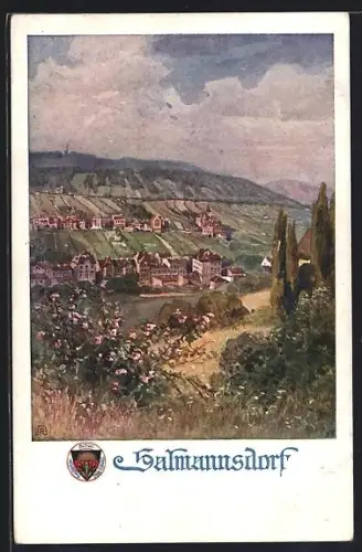 AK Deutscher Schulverein Nr. 795: Sarmannsdorf, Panorama