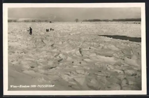 AK Wien, Nussdorf, Eisstoss im Jahr 1929