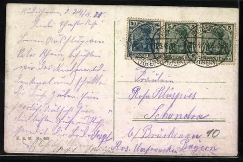 AK Niederwald, Burg Rheinstein, Nationaldenkmal Rüdesheim