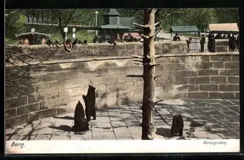 AK Bern, Drei Bären im Bärengraben