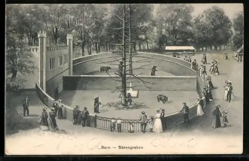 AK Bern, Bärengraben mit Bären auf dem Baum