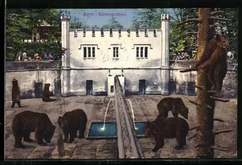 AK Bern, Bären im Bärengraben