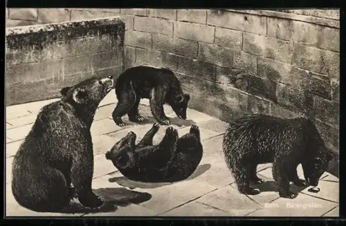 Künstler-AK Berne, La Fosse aux Ours