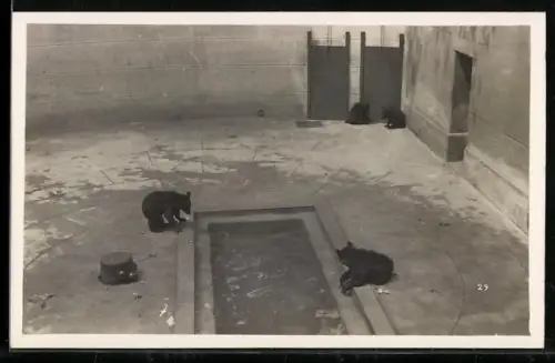 AK Bern, Bärengraben