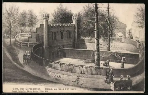 AK Bern, Blick in den Bärengraben, la fosse aux ours
