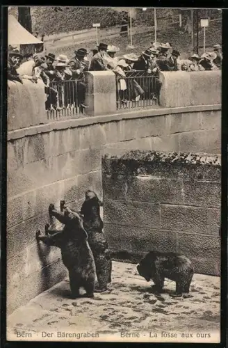 AK Bern, Tierparkbesucher blicken in den Bärengraben