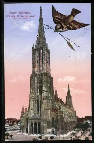 AK Ulm / Donau, Ulmer Münster, höchste Kirche der Welt, Spatz