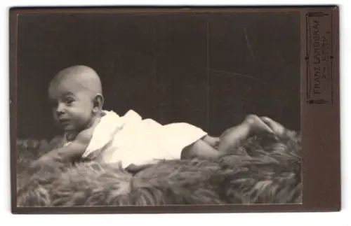 Fotografie Franz Landgraf, Zwickau, Kasernenstrasse 2, Baby auf Tierfell