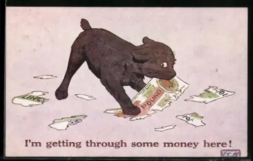 AK Hund zerbeisst einen Geldschein