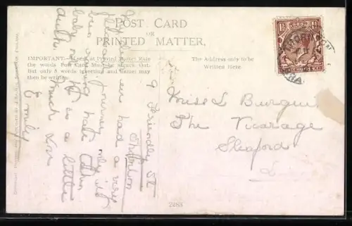 AK Hund zerbeisst einen Geldschein