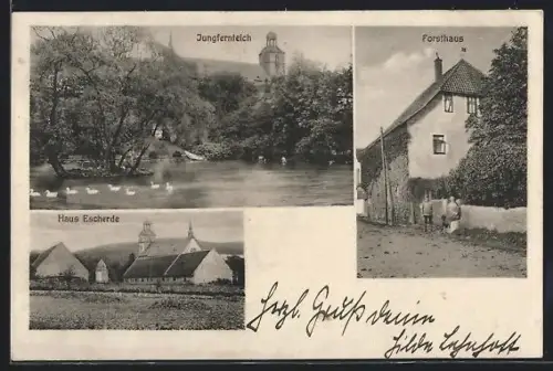 AK Gronau /Hann., Jungfernteich, Forsthaus, Haus Escherde