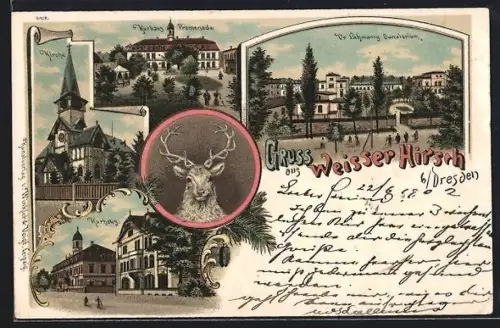 Lithographie Dresden-Weisser Hirsch, Dr. Lahmann's Sanatorium, Kurhaus und Kirche