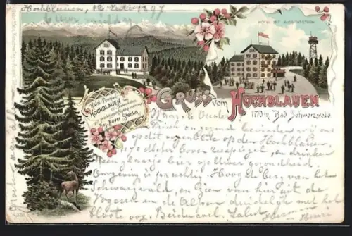 Lithographie Hochblauen Bad. Schwarzwald, Hotel mit Alpenpanorama und Aussichtsturm