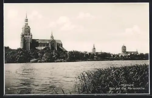 AK Stralsund, Blick auf die Marienkirche