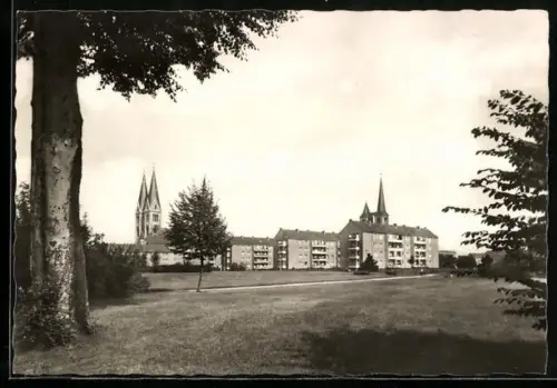AK Halberstadt, Blick von der Plantage mit Kirche