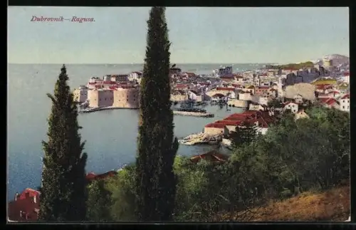 AK Dubrovnik, Panorama mit Zypressen