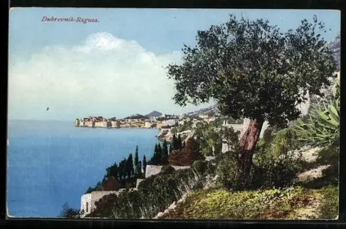 AK Dubrovnik, Ortsansicht mit Küstenpartie