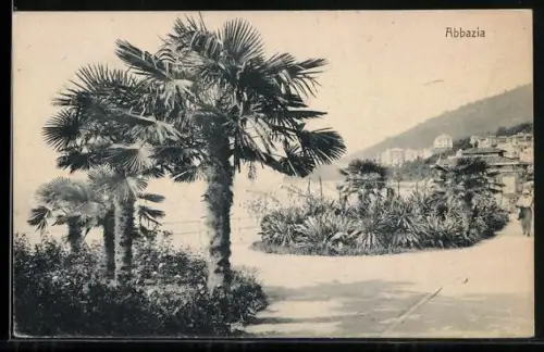 AK Abbazia, Palmen und Blick zum Ort
