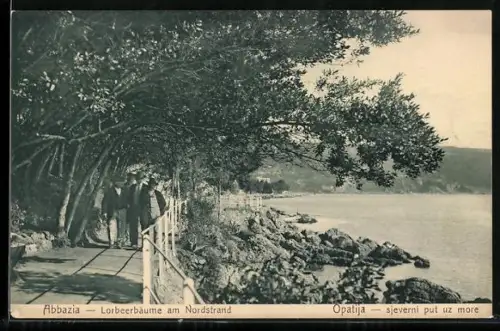 AK Abbazia, Lorbeerbäume am Nordstrand