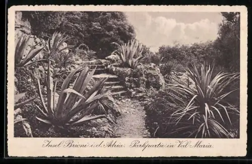 AK Insel Brioni /Adria, Val Maria, Parkpartie
