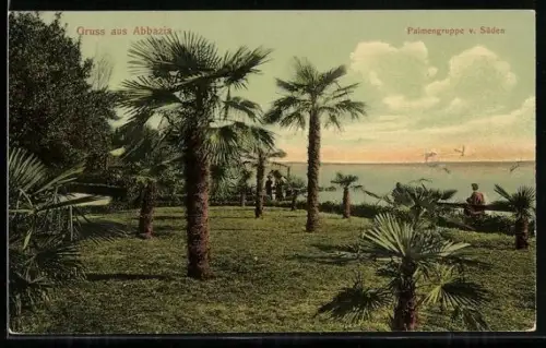 AK Abbazia, Palmengruppe von Süden