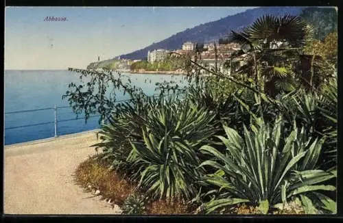 AK Abbazia, Panorama