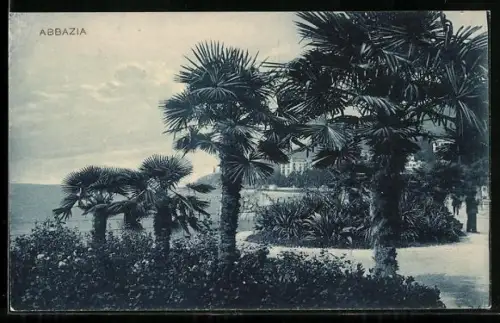AK Abbazia, Panorama