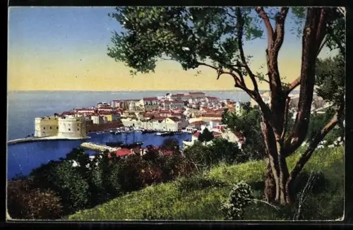 AK Dubrovnik, Panorama