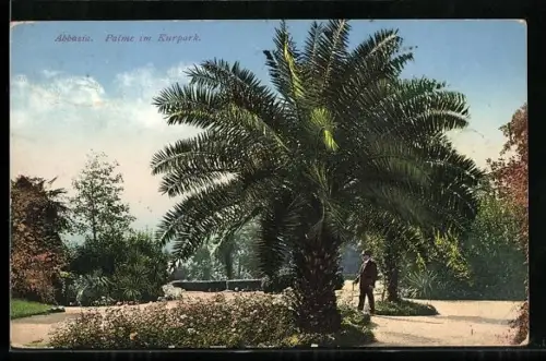 AK Abbazia, Palme im Kurpark