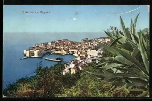 AK Dubrovnik, Panorama