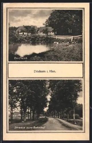 AK Düshorn, Strasse zum Bahnhof, Dorfteich