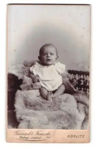 Fotografie Ganzel & Francke, Görlitz, Kind auf Fell