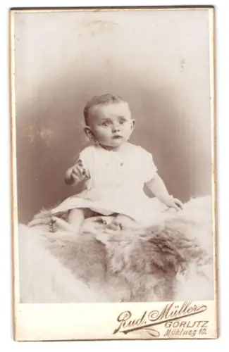 Fotografie Rud. Müller, Görlitz, Mühlweg 10, Porträt eines Kleinkinds