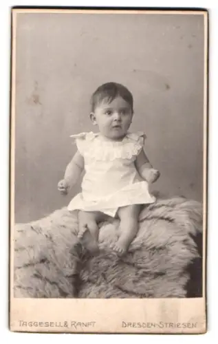 Fotografie Taggesell & Ranft, Dresden-Striesen, Augsburgerstrasse 9, Kleinkind auf einem Fell