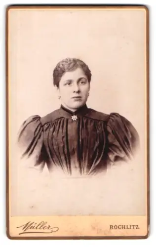 Fotografie Moritz Müller, Rochlitz, Obere Gärtnerstrasse, Porträt einer Frau in eleganter Kleidung