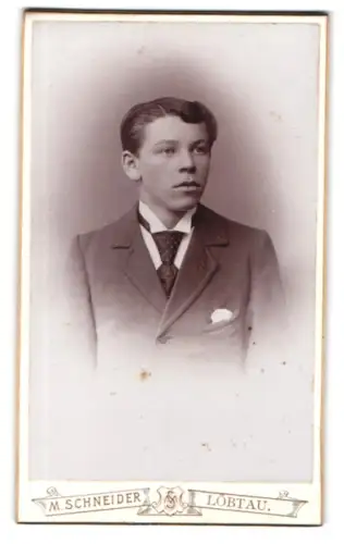 Fotografie M. Schneider, Löbtau, Wilsdruffstrasse 45, Porträt eines jungen Mannes