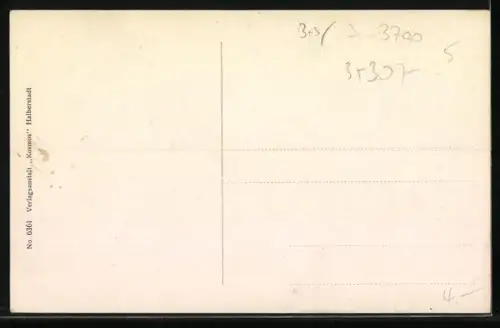 AK Wernigerode, Total mit Schloss